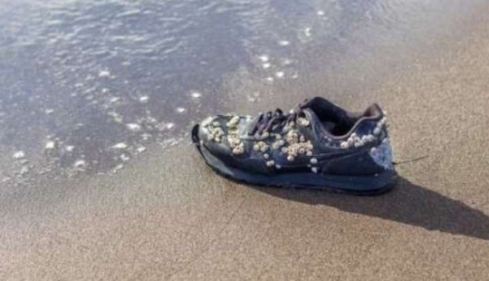 Why at the beach in Canada find sneakers with severed feet Why at the beach in Canada find sneakers with severed feet