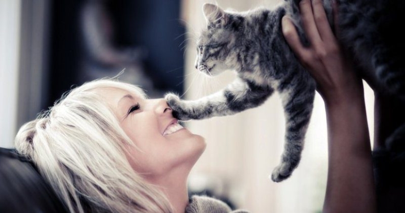 Why Cats Treat Women better than Men Why Cats Treat Women better than Men