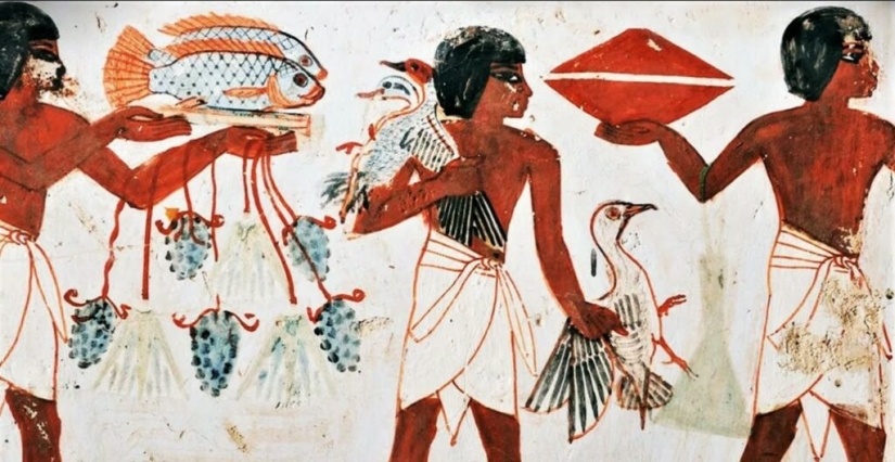 Why chicken broth is called "Jewish penicillin"