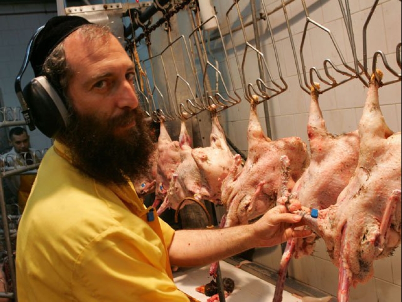 Why chicken broth is called "Jewish penicillin"