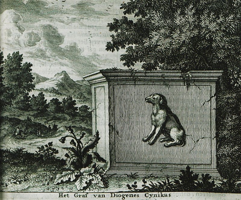 Why did the ancient Greek philosopher Diogenes live in a barrel? Why did the ancient Greek philosopher Diogenes live in a barrel?