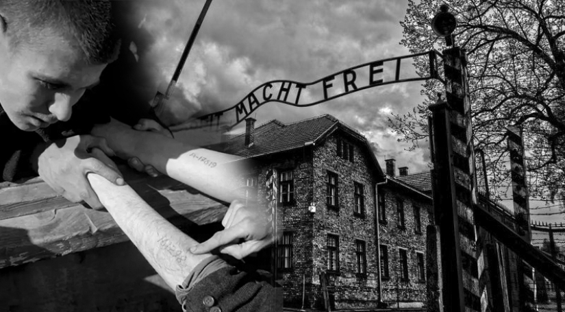 Why did they start making tattoos with numbers in Auschwitz: the story of one daring escape