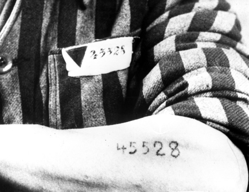 Why did they start making tattoos with numbers in Auschwitz: the story of one daring escape