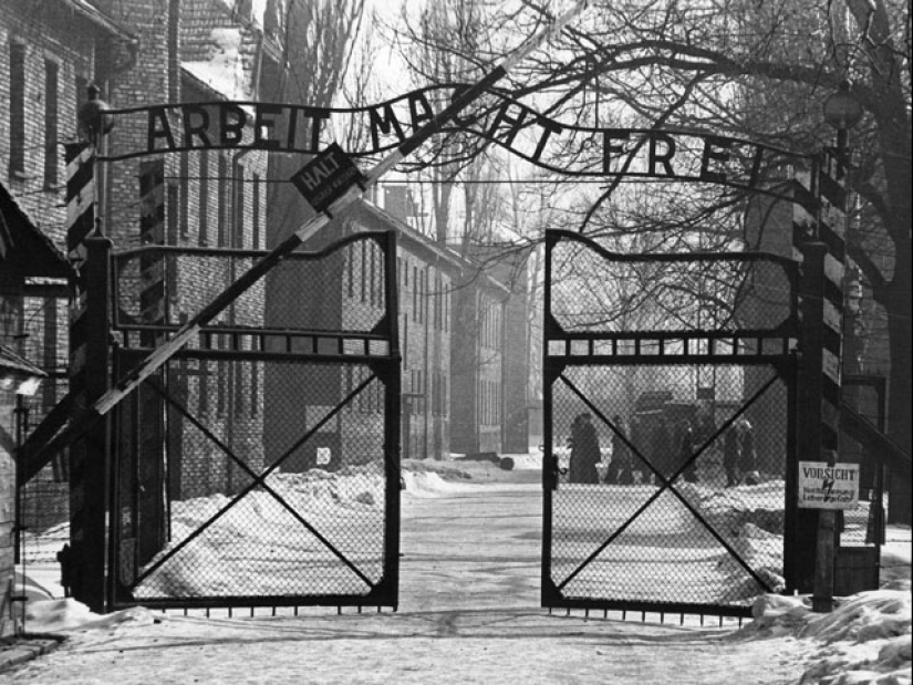 Why did they start making tattoos with numbers in Auschwitz: the story of one daring escape