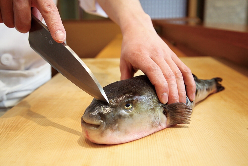 Why do gourmets value the deadly puffer fish and what risks do they take?