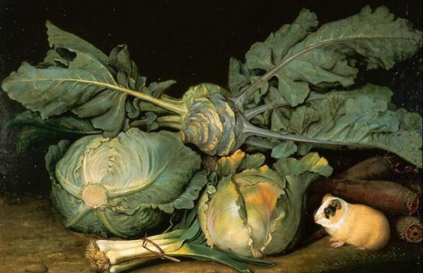 Why do they say that children are "found in cabbage" Why do they say that children are "found in cabbage"