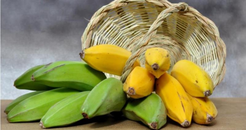 Why do unripe fruits ripen Why do unripe fruits ripen