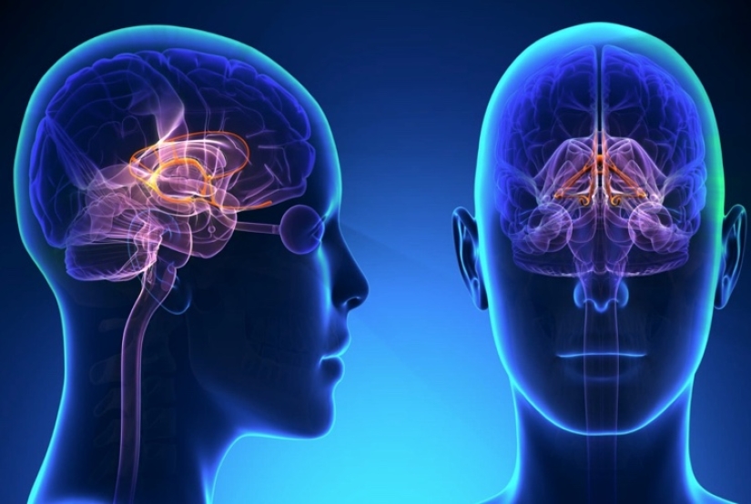 Why do we check likes so often, or 10 examples of human mind control