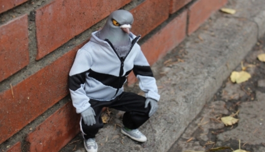 Why do we never see baby pigeons? Why do we never see baby pigeons?