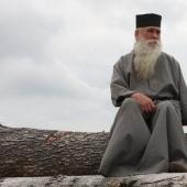 Why in many cultures dogs were considered unclean animals