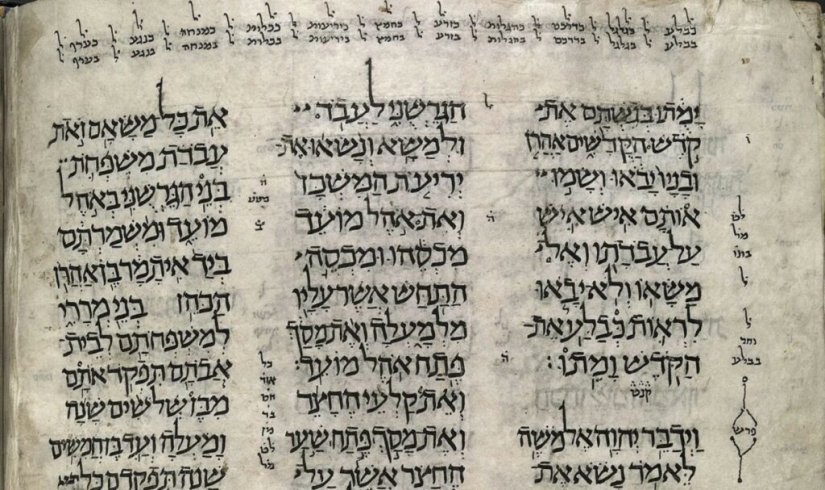 Why in many cultures dogs were considered unclean animals Why in many cultures dogs were considered unclean animals