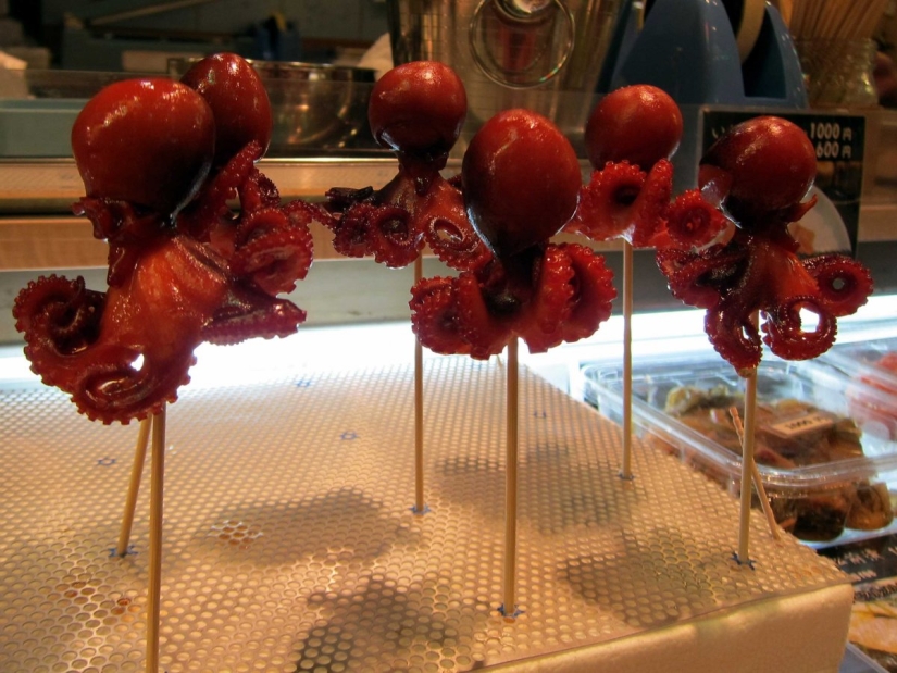 Why Kyoto was chosen as the best city in the world: 23 photo evidence