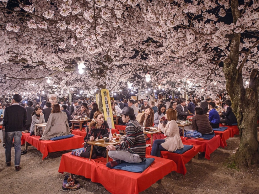 Why Kyoto was chosen as the best city in the world: 23 photo evidence