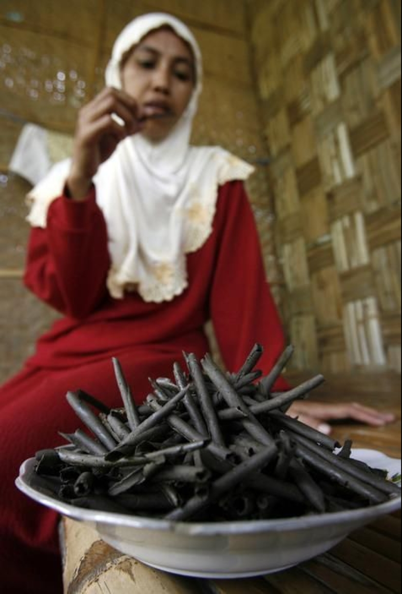 Why people think Mel "food of the gods": the taste perversion or need? Why people think Mel "food of the gods": the taste perversion or need?