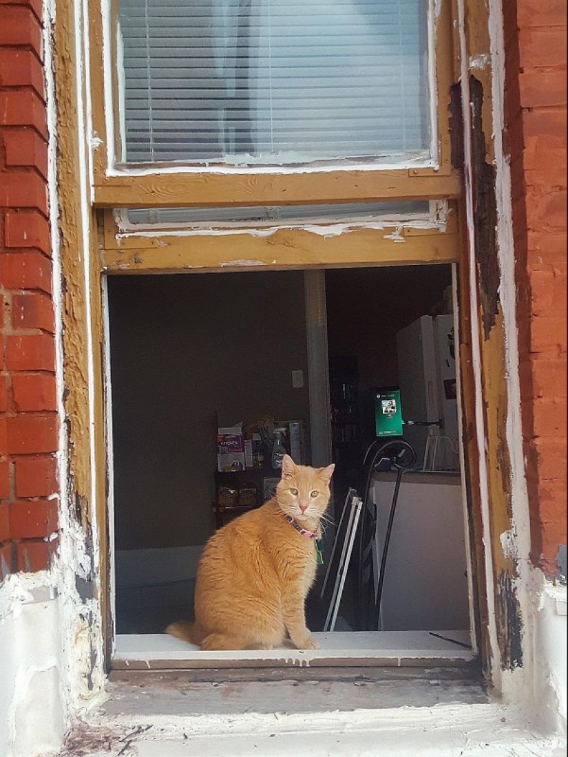 Why Sliding Windows Are Installed in the US