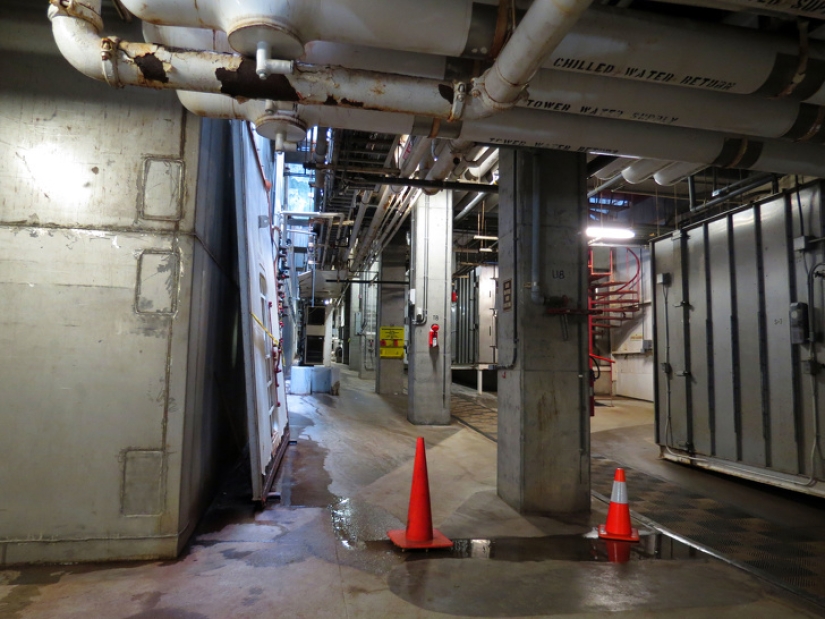 Why the American experiment "Biosphere-2" failed, which could change the world Why the American experiment "Biosphere-2" failed, which could change the world