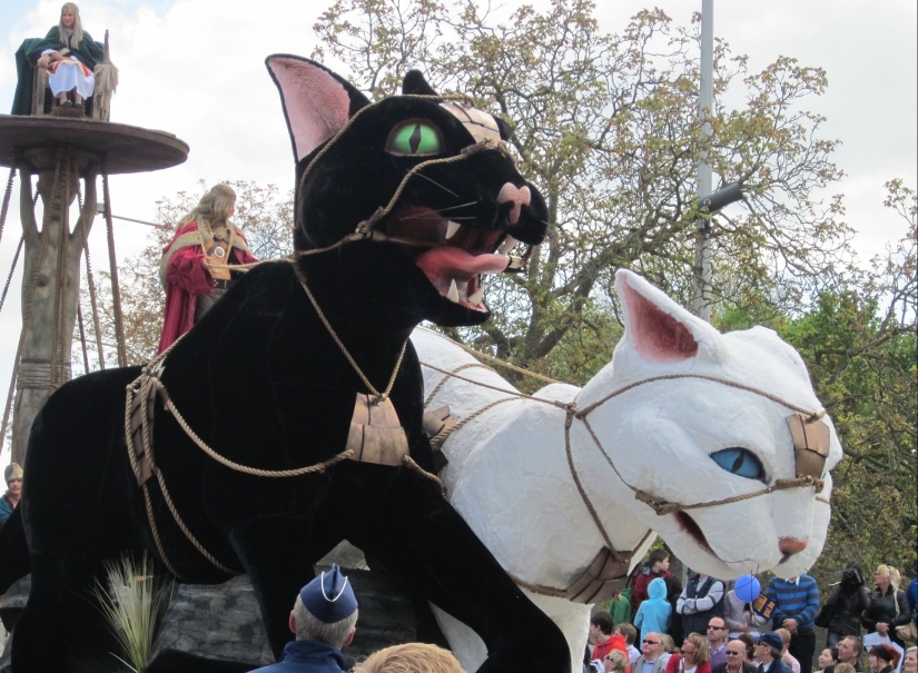 Why the Catholic Church dislikes cats