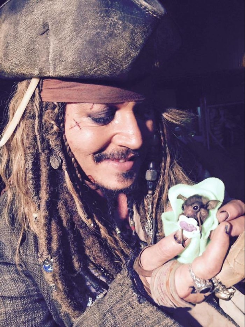 Why We're No Longer Afraid of Bats Why We're No Longer Afraid of Bats