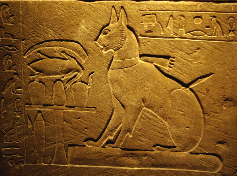 Why were cats so loved and revered in ancient Egypt?