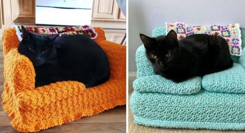 With your own hands: funny knitted couches for cats