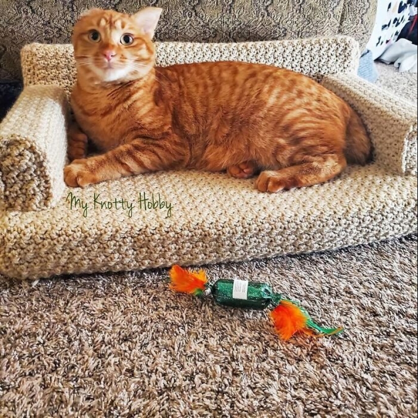 With your own hands: funny knitted couches for cats