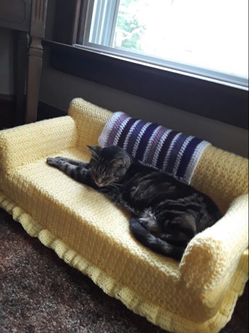 With your own hands: funny knitted couches for cats