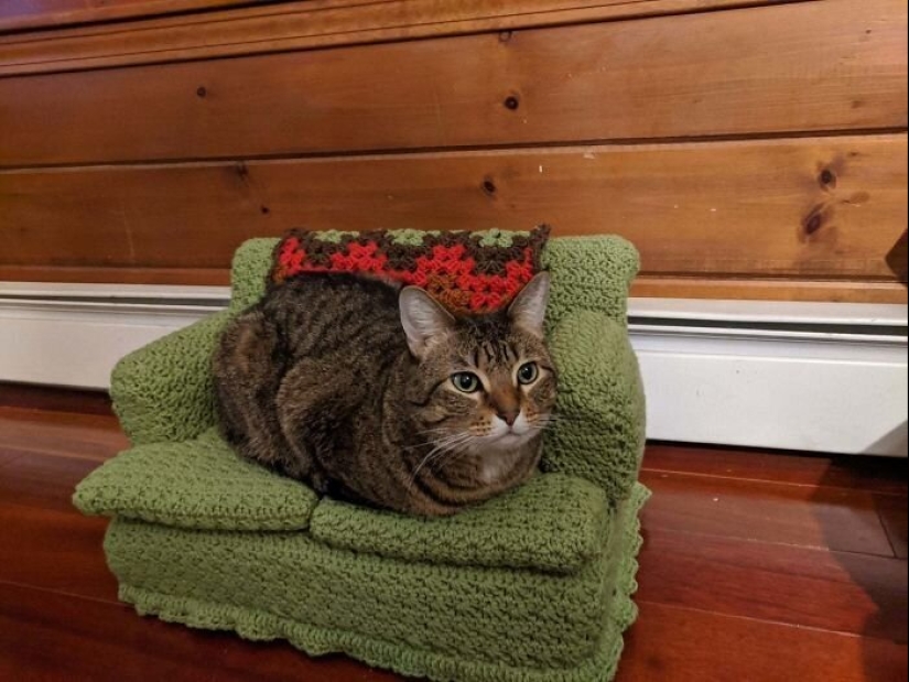With your own hands: funny knitted couches for cats