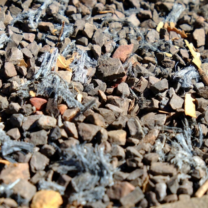 Wittenoom: la ciudad prohibida de Australia donde el aire puede matar