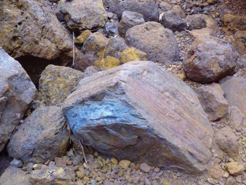 Wittenoom: la ciudad prohibida de Australia donde el aire puede matar