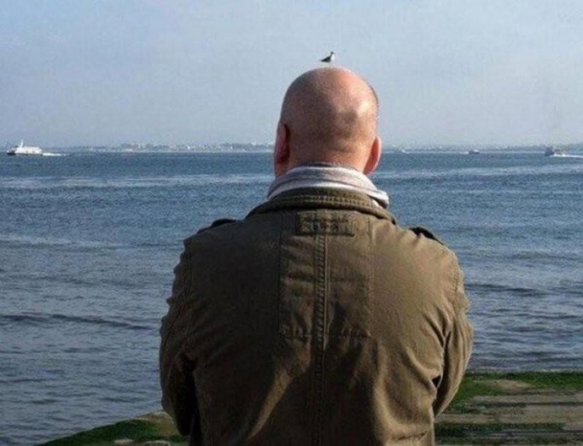 Worth a closer look: 17 funny pictures from the series " It seemed»