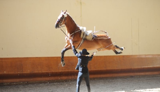 Worth a closer look: 17 funny pictures from the series " It seemed»