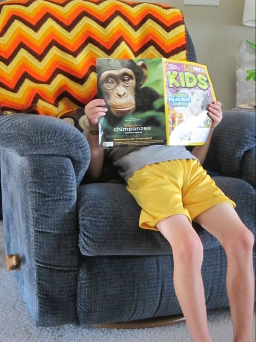 Worth a closer look: 17 funny pictures from the series " It seemed»