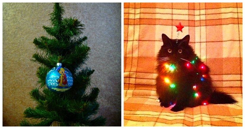 "¡Y así bajará!"20 árboles de Navidad locos que aparecieron gracias a la pereza de la Madre