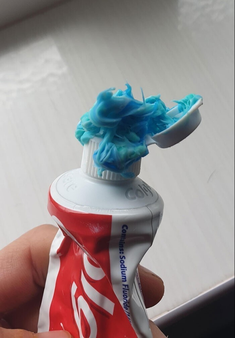 "Yo vivo con un monstruo!" 35 fotos de completo caos de los reyes de el lío "Yo vivo con un monstruo!" 35 fotos de completo caos de los reyes de el lío