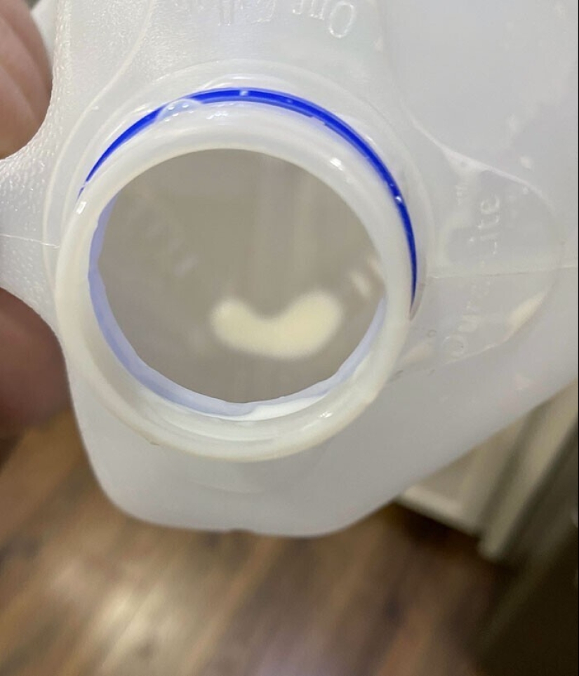 "Yo vivo con un monstruo!" 35 fotos de completo caos de los reyes de el lío "Yo vivo con un monstruo!" 35 fotos de completo caos de los reyes de el lío