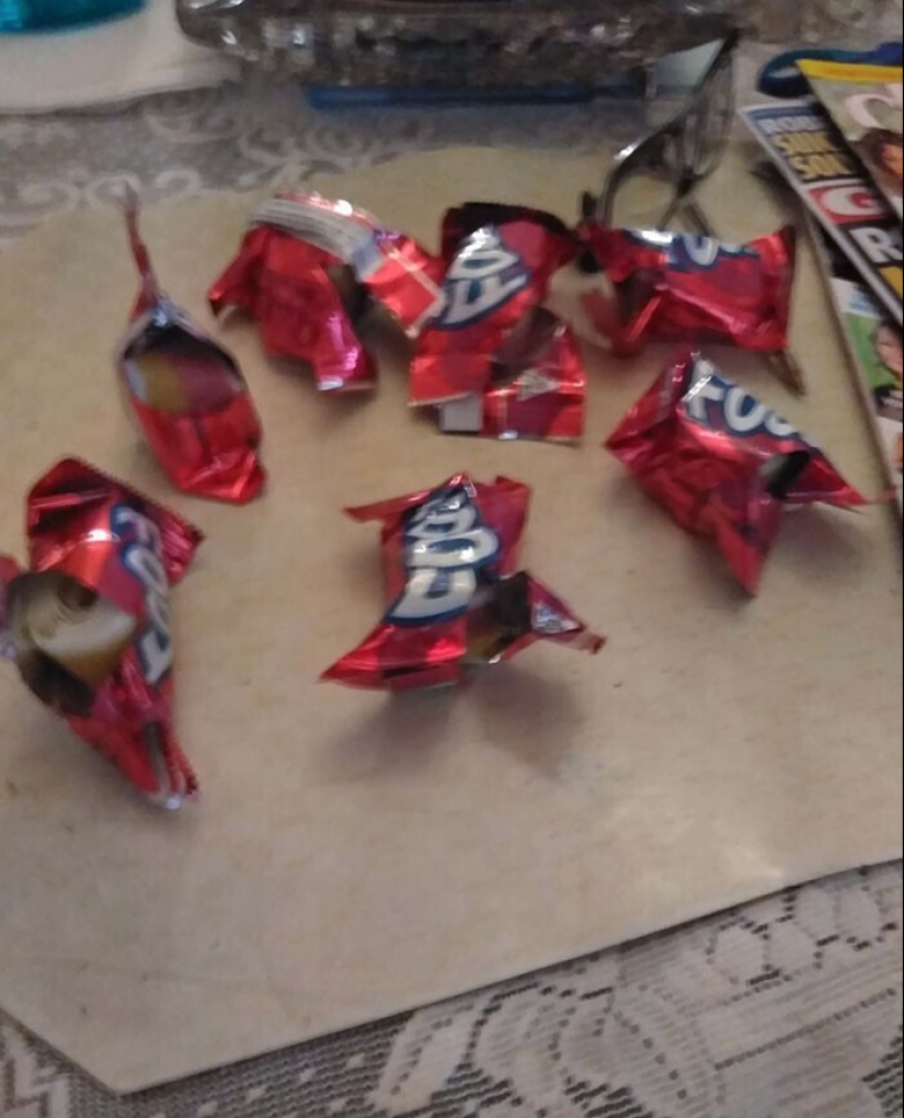 "Yo vivo con un monstruo!" 35 fotos de completo caos de los reyes de el lío "Yo vivo con un monstruo!" 35 fotos de completo caos de los reyes de el lío