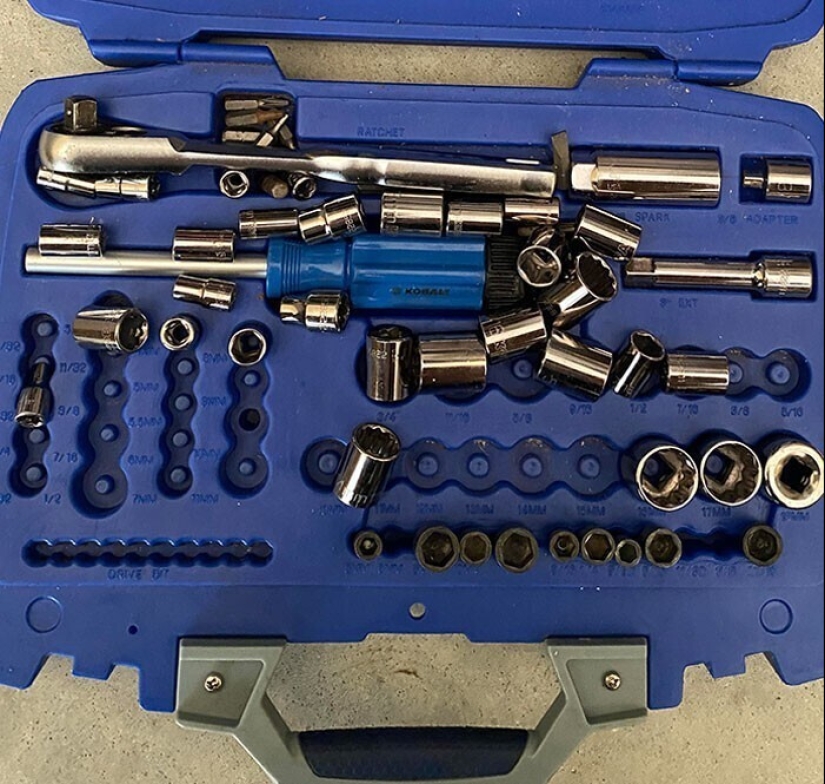 "Yo vivo con un monstruo!" 35 fotos de completo caos de los reyes de el lío "Yo vivo con un monstruo!" 35 fotos de completo caos de los reyes de el lío