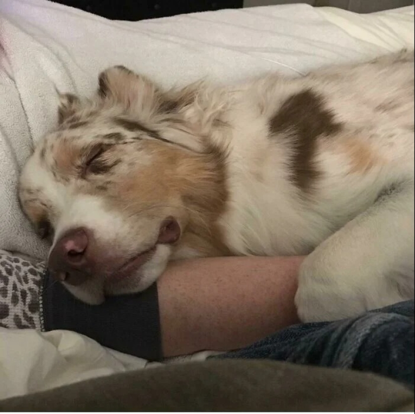 You definitely haven't seen this: 30 surprises from Mother Nature You definitely haven't seen this: 30 surprises from Mother Nature