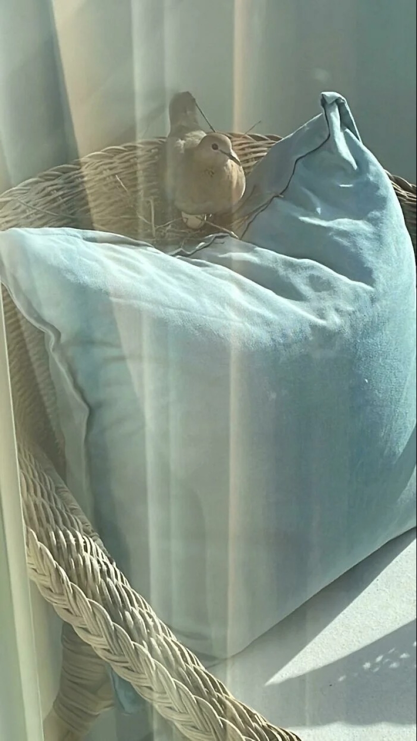 You definitely haven't seen this: 30 surprises from Mother Nature You definitely haven't seen this: 30 surprises from Mother Nature