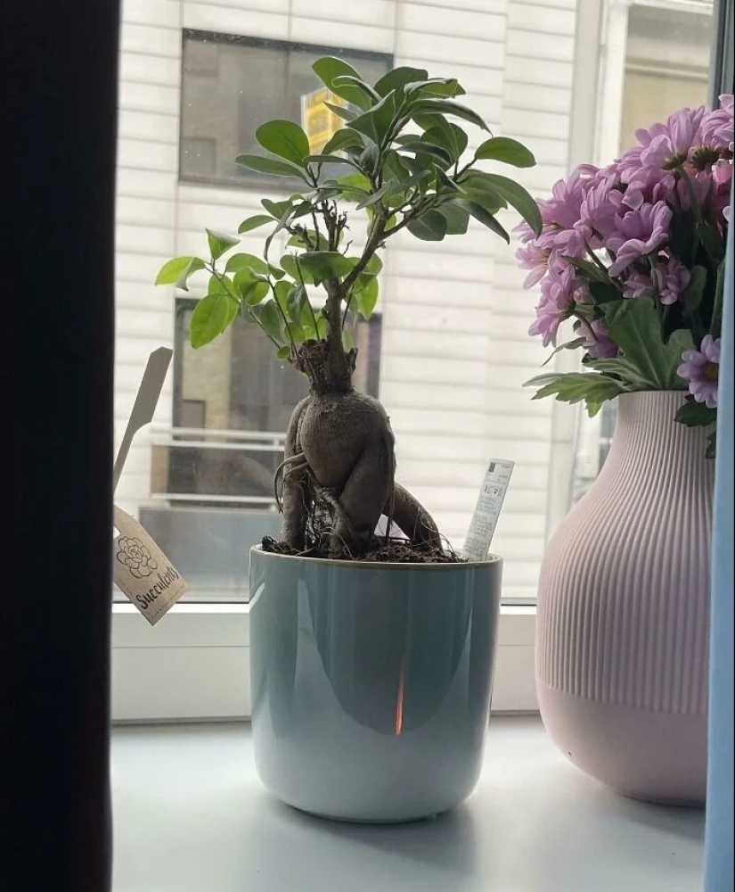 You definitely haven't seen this: 30 surprises from Mother Nature You definitely haven't seen this: 30 surprises from Mother Nature