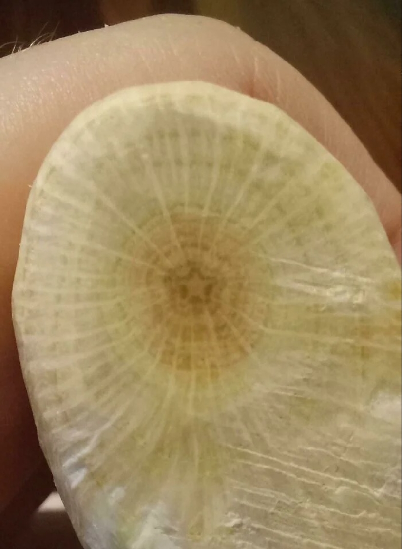 You definitely haven't seen this: 30 surprises from Mother Nature You definitely haven't seen this: 30 surprises from Mother Nature