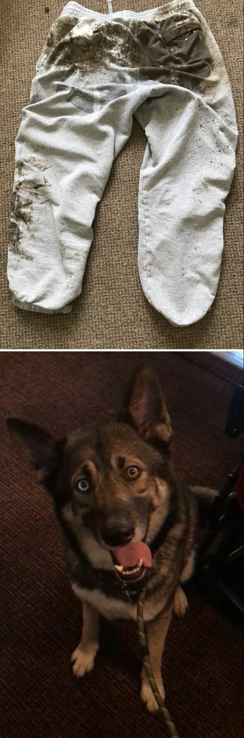 You had a bad day? Believe me, these 30 people all much worse You had a bad day? Believe me, these 30 people all much worse