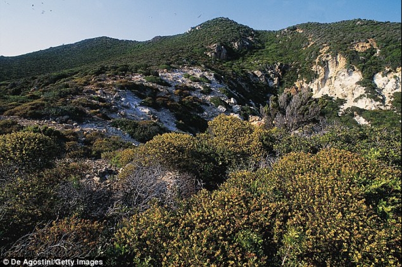 Zannon es una isla olvidada de orgías con un pasado oscuro Zannon es una isla olvidada de orgías con un pasado oscuro