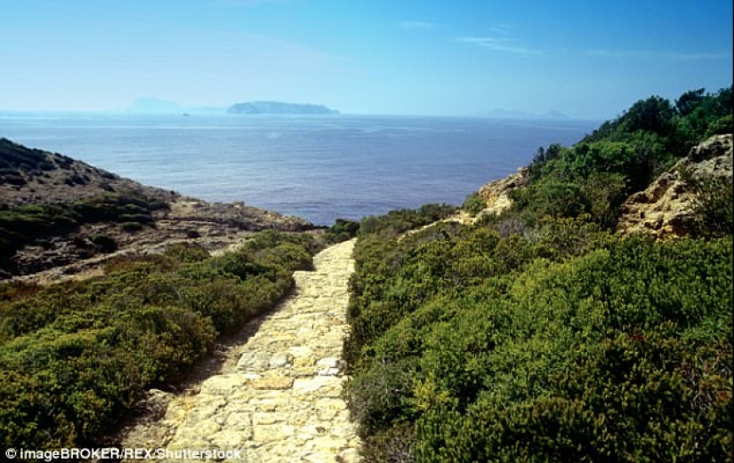 Zannon is a forgotten island of orgies with a dark past Zannon is a forgotten island of orgies with a dark past