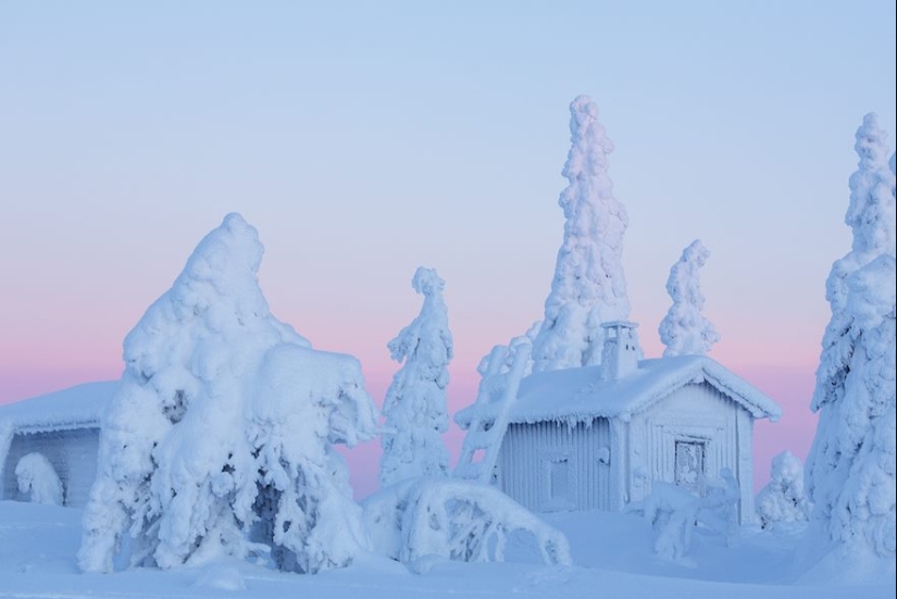 20 reasons why Lapland is the most magical place to celebrate the New Year