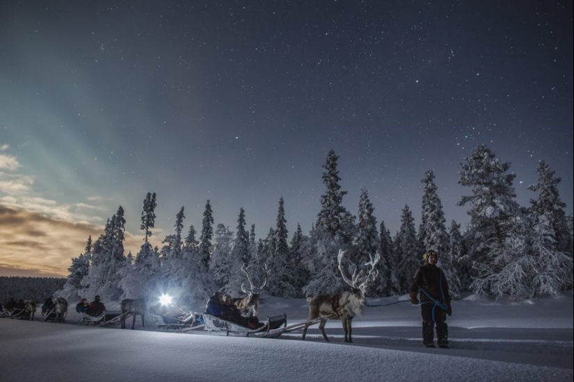 20 reasons why Lapland is the most magical place to celebrate the New Year