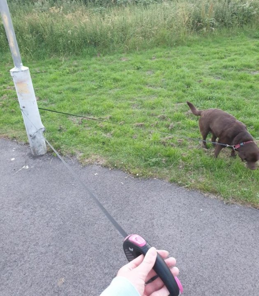 20 situaciones insignificantes que molestarán a cualquiera