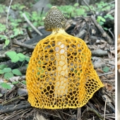 35 hallazgos inesperados que la gente ha compartido en línea