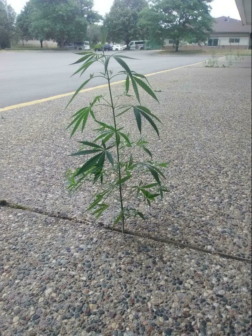 35 hallazgos inesperados que la gente ha compartido en línea