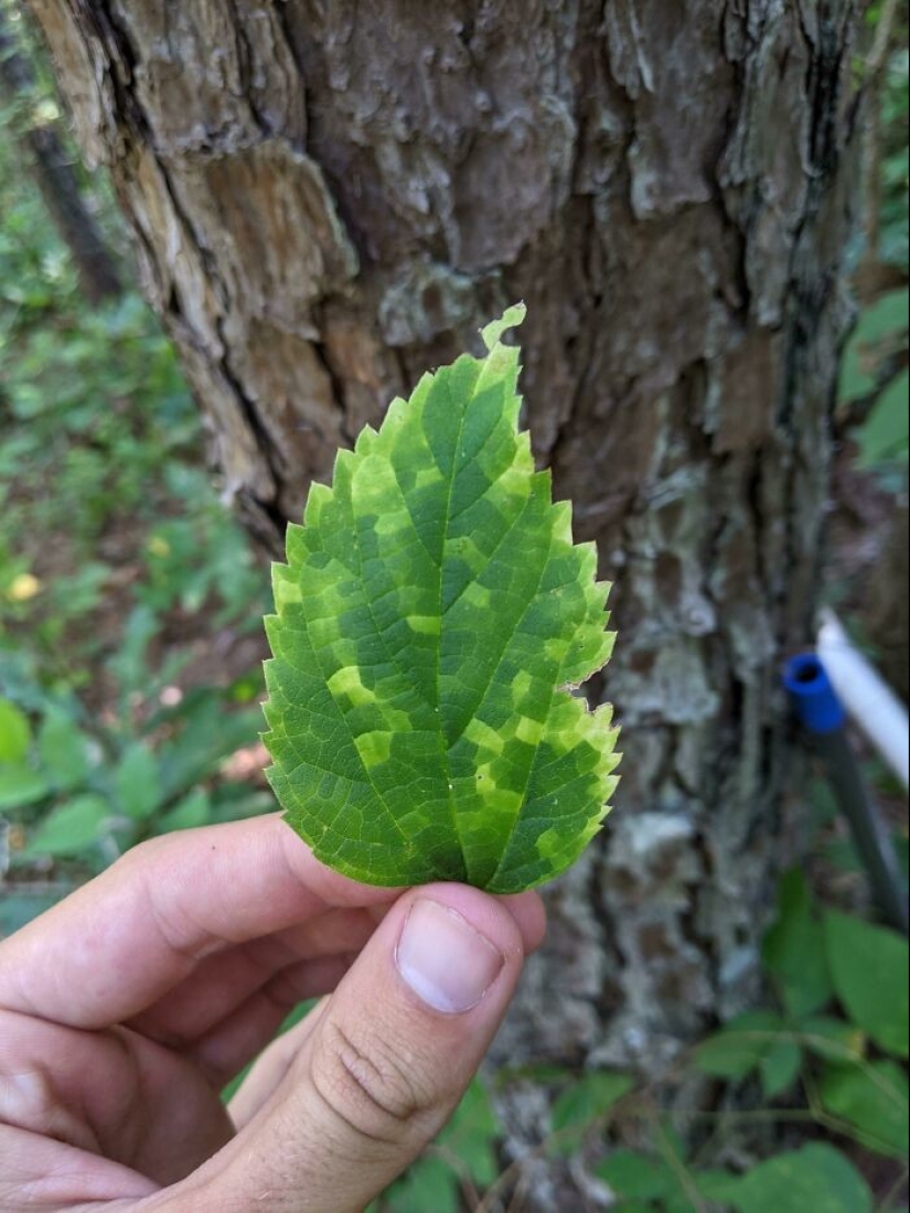 35 hallazgos inesperados que la gente ha compartido en línea